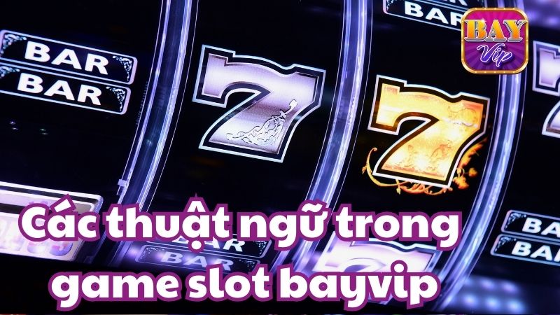 Các thuật ngữ quan trọng cần nắm vững